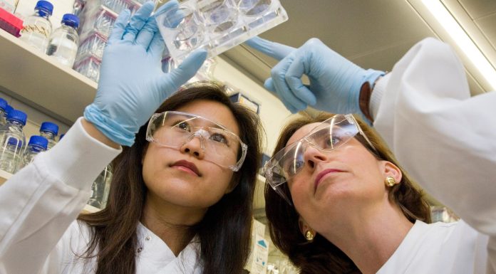 Universities need to promote more women to professor