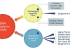 Aging Mechanism Analysis Paves the Way for Anti-Aging Research