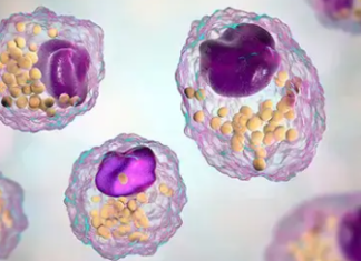 Exosome-Based Strategies for Cancer Treatment